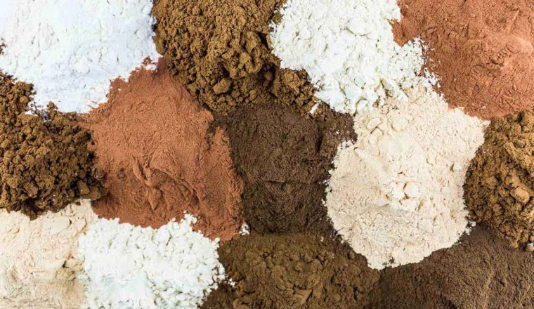Tantalizing Tannins: Nature’s Bold Bite