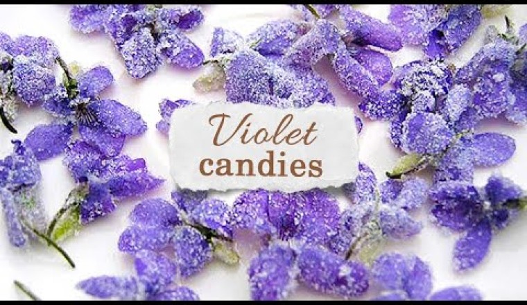 Delicate Petals and Sugar Dreams: The Sweet Allure of 18th Century Candied Violets