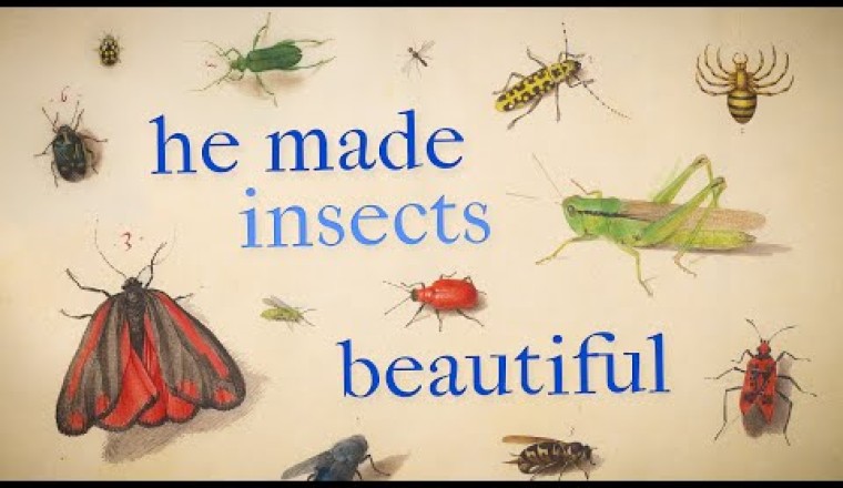 He Painted Bugs Like Jewels — And Changed Science Forever