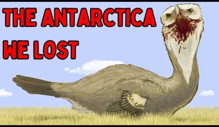 Antarctica Before It Froze