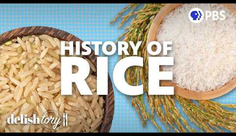 How Did Rice Become a Staple Crop?