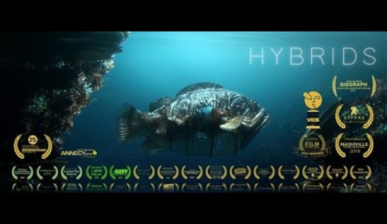 HYBRIDS (2020)