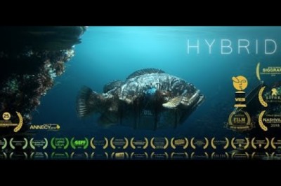 HYBRIDS (2020)
