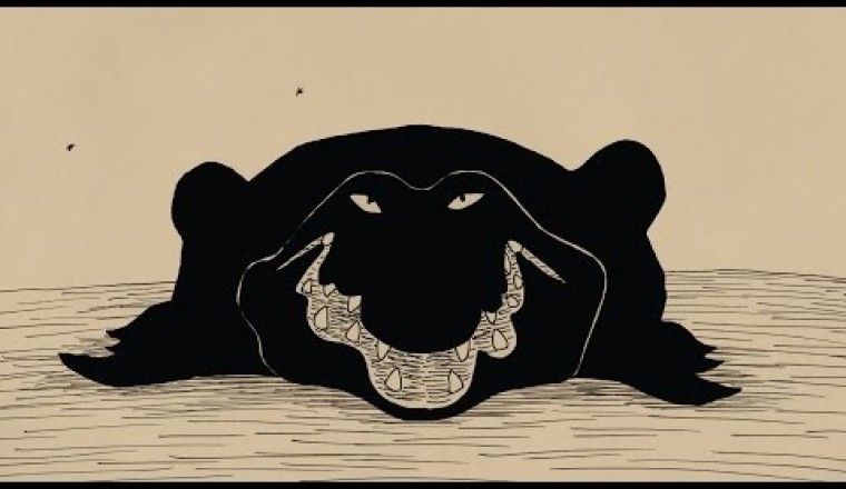 The Old Crocodile (2005)