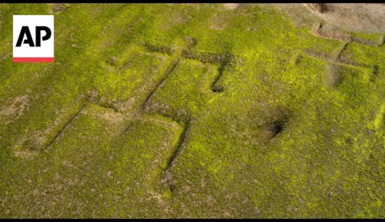 Ancient Hawaiian Petroglyphs on a Beach Are Visible Again