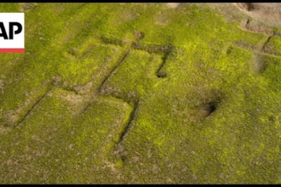 Ancient Hawaiian Petroglyphs on a Beach Are Visible Again