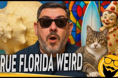 10 Museums in Florida That Are Anything But Boring