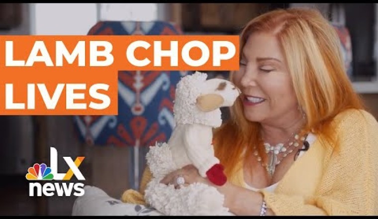 Lamb Chop is Not Dead: The Legacy of Shari Lewis and Her Puppet
