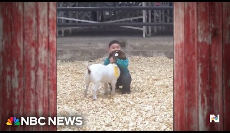 Young Boy Places Fourth but Wins Hearts at Goat Show