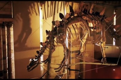 Exploring the Museum’s Most Priceless and Mysterious Treasures