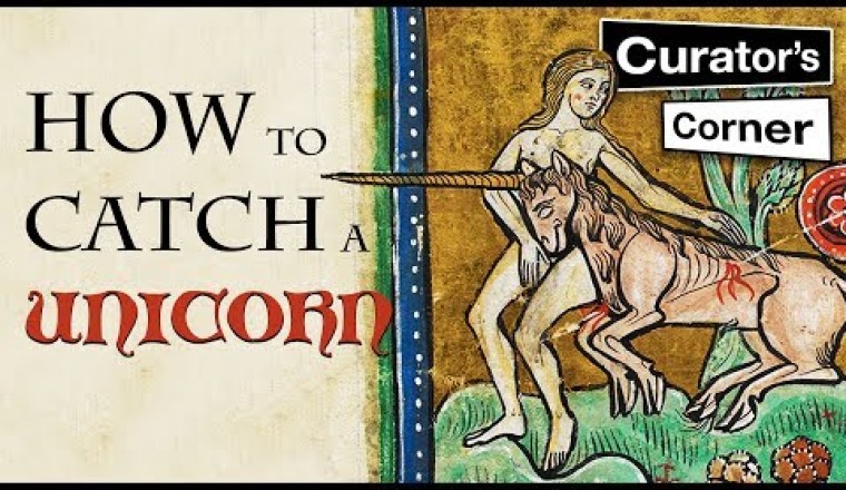 How To Catch a Unicorn