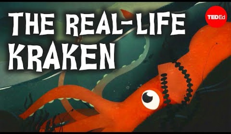 Why Did It Take So Long To Find Giant Squids?