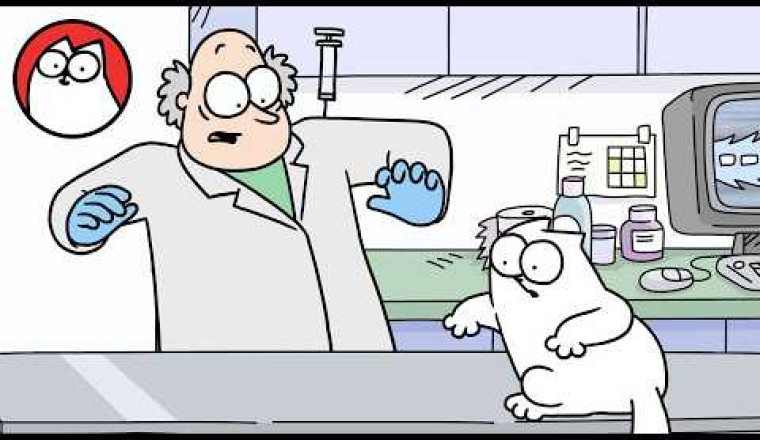 Back to the Vet