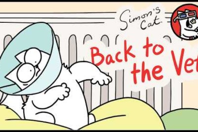 Simon's Cat Goes Back to the Vet!