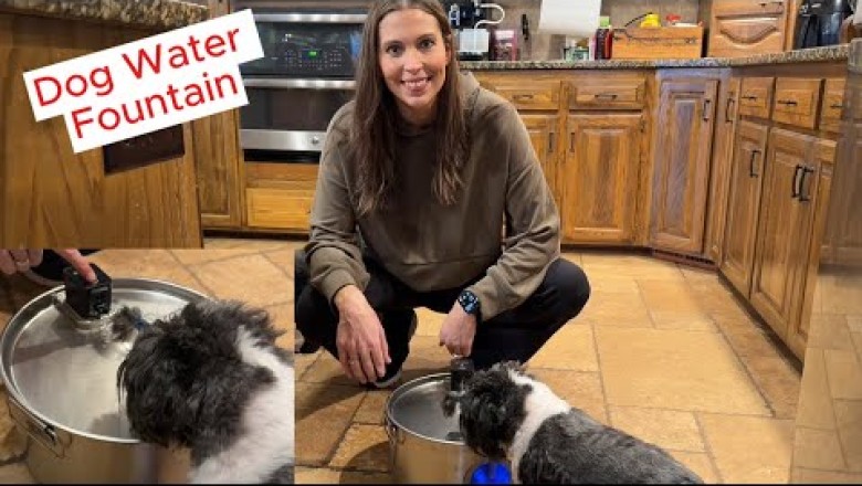 FIYOVA Wireless Pet Water Fountain: Is It Worth It?