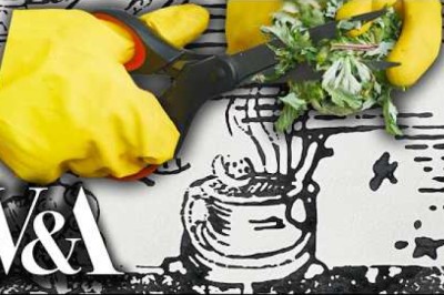 How Nettle and Mugwort Become Ink