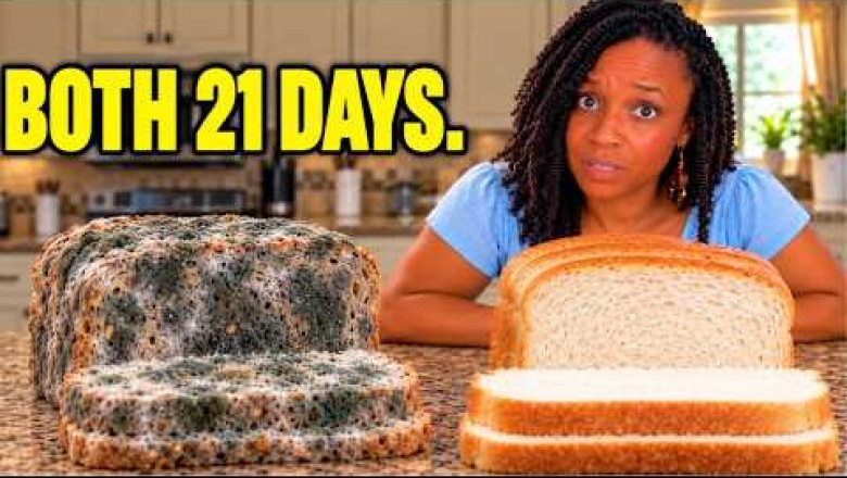I Left 9 Bread Brands Out for 21 Days (Only 2 Actually Rotted)