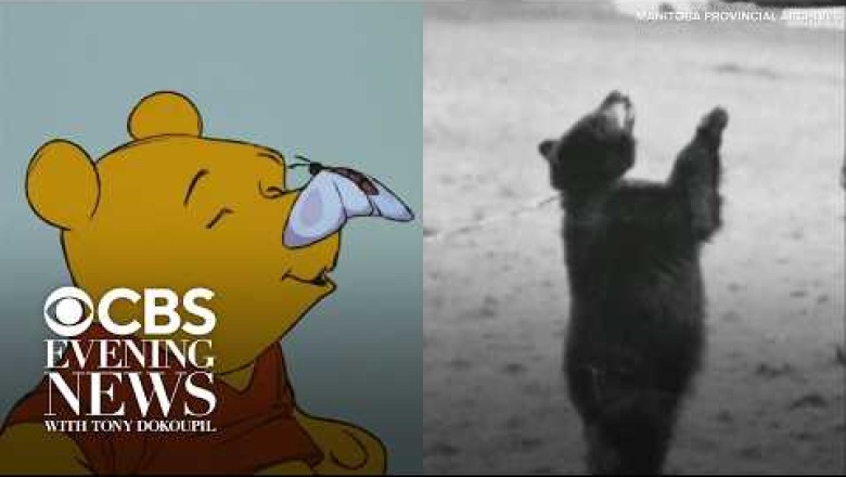 The Real Winnie the Pooh: A Bear Who Inspired a Legend