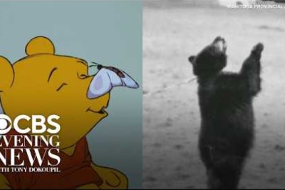 The Real Winnie the Pooh: A Bear Who Inspired a Legend