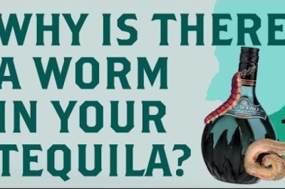 Is There Really a Worm in Tequila? Myth and History